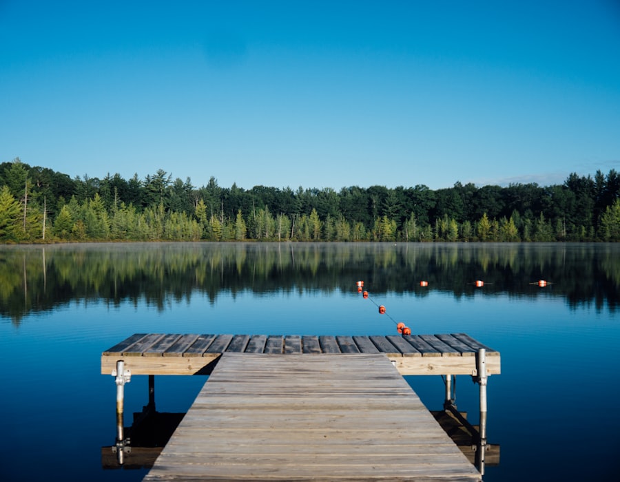 Lake Restoration